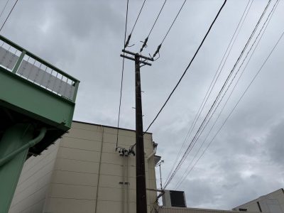 image6.jpeg